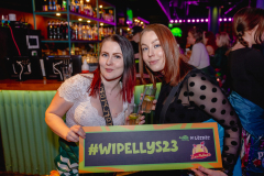 Wipellys23-214
